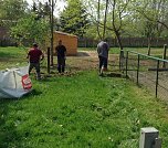 Arbeitseinsatz auf dem Hundeplatz (Foto: Jacqueline Lange)