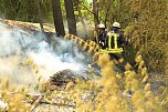 Brand im Hammatal (Foto: Silvio Dietzel)
