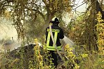 Brand im Hammatal (Foto: Silvio Dietzel)
