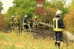 Fl&auml;chenbrand zwischen Gro&szlig;- und Kleinfurra (Foto: S. Dietzel)
