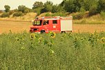Fl&auml;chenbrand zwischen Gro&szlig;- und Kleinfurra (Foto: S. Dietzel)