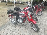 Trotz der wochenlangen Hitze kamen zum diesjährigen Treffen über 100 Besitzer eines Mopeds, Motorrollers, Motorrades oder Dreirades der tschechischen Marken Jawa oder CZ auf das Gelände der Festscheune in Röblingen am See (Sachsen-Anhalt) (Foto: H. Rein) Trotz der wochenlangen Hitze kamen zum diesjährigen Treffen über 100 Besitzer eines Mopeds, Motorrollers, Motorrades oder Dreirades der tschechischen Marken Jawa oder CZ auf das Gelände der Festscheune in Röblingen am See (Sachsen-Anhalt) (Foto: H. Rein)