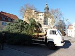 Weihnachtsbaum Sondershausen (Foto: Karl-Heinz Herrmann)