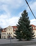 Weihnachtsbaum Sondershausen (Foto: Karl-Heinz Herrmann)