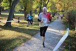 Stadtparklauf in Sondershausen (2) (Foto: Karl-Heinz Herrmann)