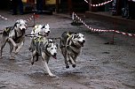 Hundeschlittenrennen in Pullman City (Foto: Peter Blei) Hundeschlittenrennen in Pullman City (Foto: Peter Blei)