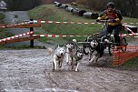 Hundeschlittenrennen in Pullman City (Foto: Peter Blei) Hundeschlittenrennen in Pullman City (Foto: Peter Blei)