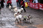 Hundeschlittenrennen in Pullman City (Foto: Peter Blei) Hundeschlittenrennen in Pullman City (Foto: Peter Blei)
