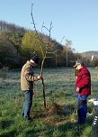 Streuobstwiese aus dem Dornröschenschlaf erwacht (Foto: Katrin Sieber) Streuobstwiese aus dem Dornröschenschlaf erwacht (Foto: Katrin Sieber)