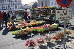 Ansturm auf Sondershäuser Blumen-, Pflanzen- und Staudenmarkt (Foto: Karl-Heinz Herrmann) Ansturm auf Sondershäuser Blumen-, Pflanzen- und Staudenmarkt (Foto: Karl-Heinz Herrmann)