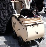 Mal wieder verkleiden (Foto: Peter Blei) Mal wieder verkleiden (Foto: Peter Blei)