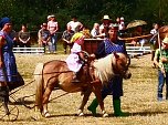 Großes Ponyfest Großenehrich (Foto: Stefan Schard) Großes Ponyfest Großenehrich (Foto: Stefan Schard)
