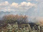 Fl&auml;chenbrand (Foto: Silvio Dietzel)