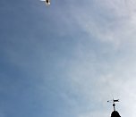 Zusammen leben, zusammen wachsen (Foto: Karl-Heinz Herrmann /Katharina Weizel)