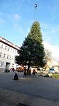Weihnachtsmeldungen Bad Frankenhausen aktuell (Foto: Stadtmarketing Bad Frankenhausen)