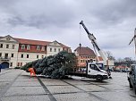 Weihnachtsbaum-SDH (Foto: Karl-Heinz Herrmann)