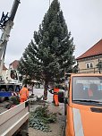 Weihnachtsbaum-SDH (Foto: Karl-Heinz Herrmann)
