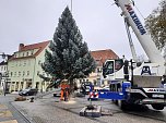 Weihnachtsbaum-SDH (Foto: Karl-Heinz Herrmann)