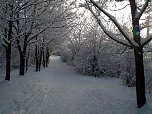 Winter in Artern (Foto: Klaus Henze)
