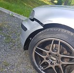 Rehe gegen Pkw (Foto: Silvio Dietzel)