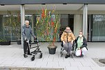 Maibaumschmücken in der AWO Seniorenresidenz Haus am Wippertor (Foto: Katrin Busch) Maibaumschmücken in der AWO Seniorenresidenz Haus am Wippertor (Foto: Katrin Busch)