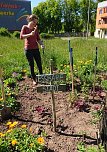 Ein "MILPA"-Beet f&uuml;r Sondershausen (Foto: Katrin Sieber)