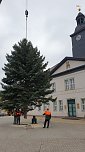 Weihnachtstanne wird von dem Frankenh&auml;user Rathaus aufgestellt (Foto: Stadtmarketing Bad Frankenhausen)