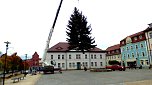 Weihnachtstanne wird von dem Frankenh&auml;user Rathaus aufgestellt (Foto: Stadtmarketing Bad Frankenhausen)