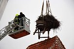 Bauarbeiten am Ringelebener Storchennest (Foto: Henri Fensterer)