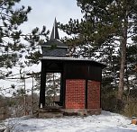 Fr&uuml;hjahrsputz der Judokas (Foto: P.Ke&szlig;ler )