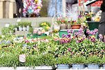 Gut besuchter Sondersh&auml;user Ostermarkt (Foto: Eva Maria Wiegand)