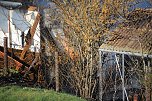 Laubenbrand in Sondershausen (Foto: Silvio Dietzel)