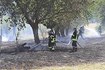 Fl&auml;chenbrand zwischen Gro&szlig;- und Kleinfurra (Foto: S.Dietzel)