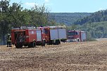 Fl&auml;chenbrand zwischen Gro&szlig;- und Kleinfurra (Foto: S.Dietzel)