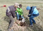 Baumpflanzung Bad Frankenhausen (Foto: Karl-Heinz Herrmann)