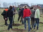Baumpflanzung Bad Frankenhausen (Foto: Karl-Heinz Herrmann)