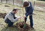 Baumpflanzung Bad Frankenhausen (Foto: Karl-Heinz Herrmann)