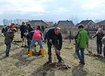 Baumpflanzung Bad Frankenhausen (Foto: Karl-Heinz Herrmann)