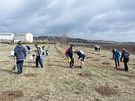 Baumpflanzung Bad Frankenhausen (Foto: Karl-Heinz Herrmann)