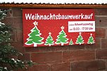 Weihnachtsb&auml;ume zum Advent in Kelbra (Foto: Ulrich Reinboth)