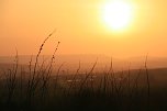 Sonnenuntergang - fotografiert vom Hainer Berg (Foto: Christoph Keil) Sonnenuntergang - fotografiert vom Hainer Berg (Foto: Christoph Keil)