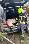Feuerwehrmann k&uuml;mmert sich um den Hund des verunfallten Fahrers (Foto: S. Dietzel)