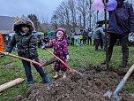 Pflanzaktion in Bebra (Foto: Stadt Sondershausen) Pflanzaktion in Bebra (Foto: Stadt Sondershausen)