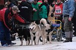 Hundeschlittenrennen im Harz (Foto: Peter Blei)