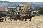 Nachstellung der Bauernschlacht bei Bad Frankenhausen (Foto: agl)