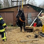 Das Pferd war in eine fr&uuml;here, jetzt leere, G&uuml;llegrube gerutscht. (Foto: Fotos: Feuerwehr Trebra/Silvio Dietzel)