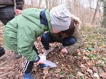 Die Mädchen und Jungen der Kindervilla waren am Wochenende in der Naturparkstation unterwegs.. (Foto: Katrin Milde) Die Mädchen und Jungen der Kindervilla waren am Wochenende in der Naturparkstation unterwegs.. (Foto: Katrin Milde)