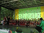 Das Straßenfest der Kindervilla in Bad Frankenhausen wurde zum Wiesenfest (Foto: Katrin Milde) Das Straßenfest der Kindervilla in Bad Frankenhausen wurde zum Wiesenfest (Foto: Katrin Milde)