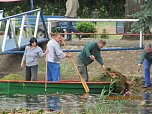 Arbeitseinsatz im Schwimmbad (Foto: Stadt Heldrungen) Arbeitseinsatz im Schwimmbad (Foto: Stadt Heldrungen)