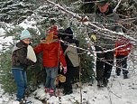 Tannenbaum im Winterwald (Foto: Karl-Heinz Herrmann) Tannenbaum im Winterwald (Foto: Karl-Heinz Herrmann)